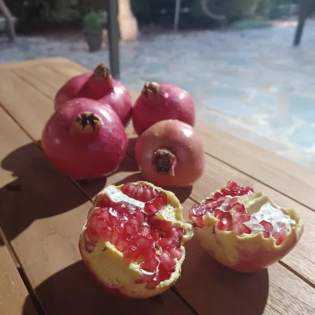 Melissa Hills וילה איה נאפה