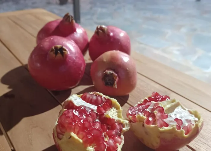 Melissa Hills ヴィラ アヤナパ